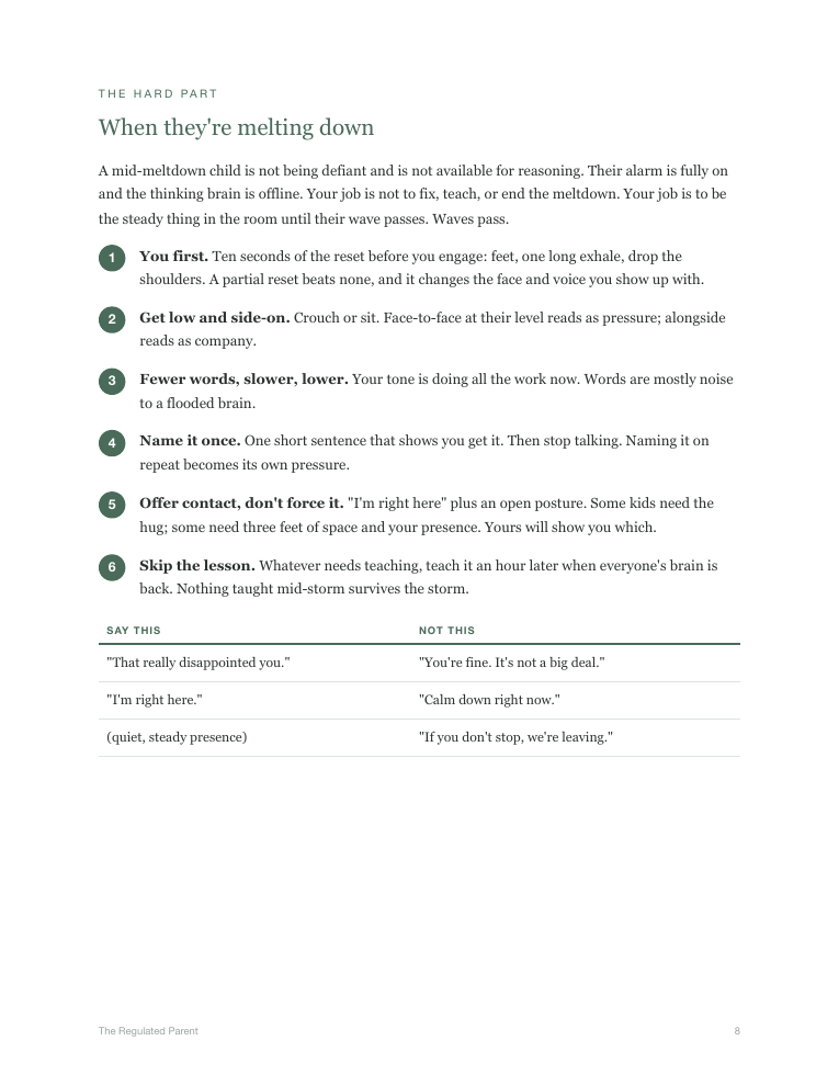 Workbook page: what to do when they're melting down, with say-this-not-that examples